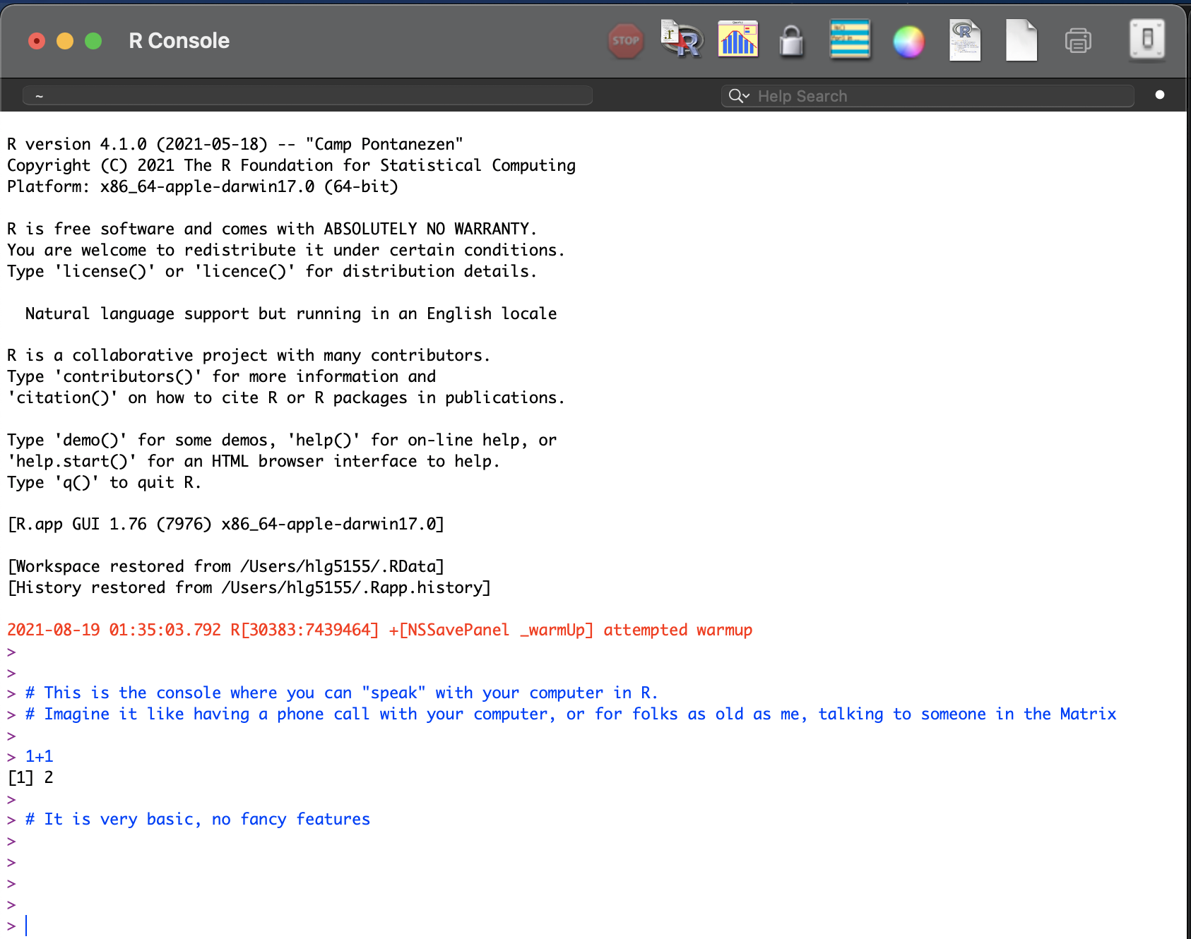 *The basic R console. You write in blue, the computer replies in black. The > means it is waiting for a command*