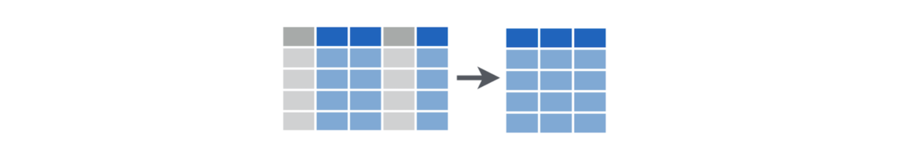 picture from the tidyverse cheatsheet