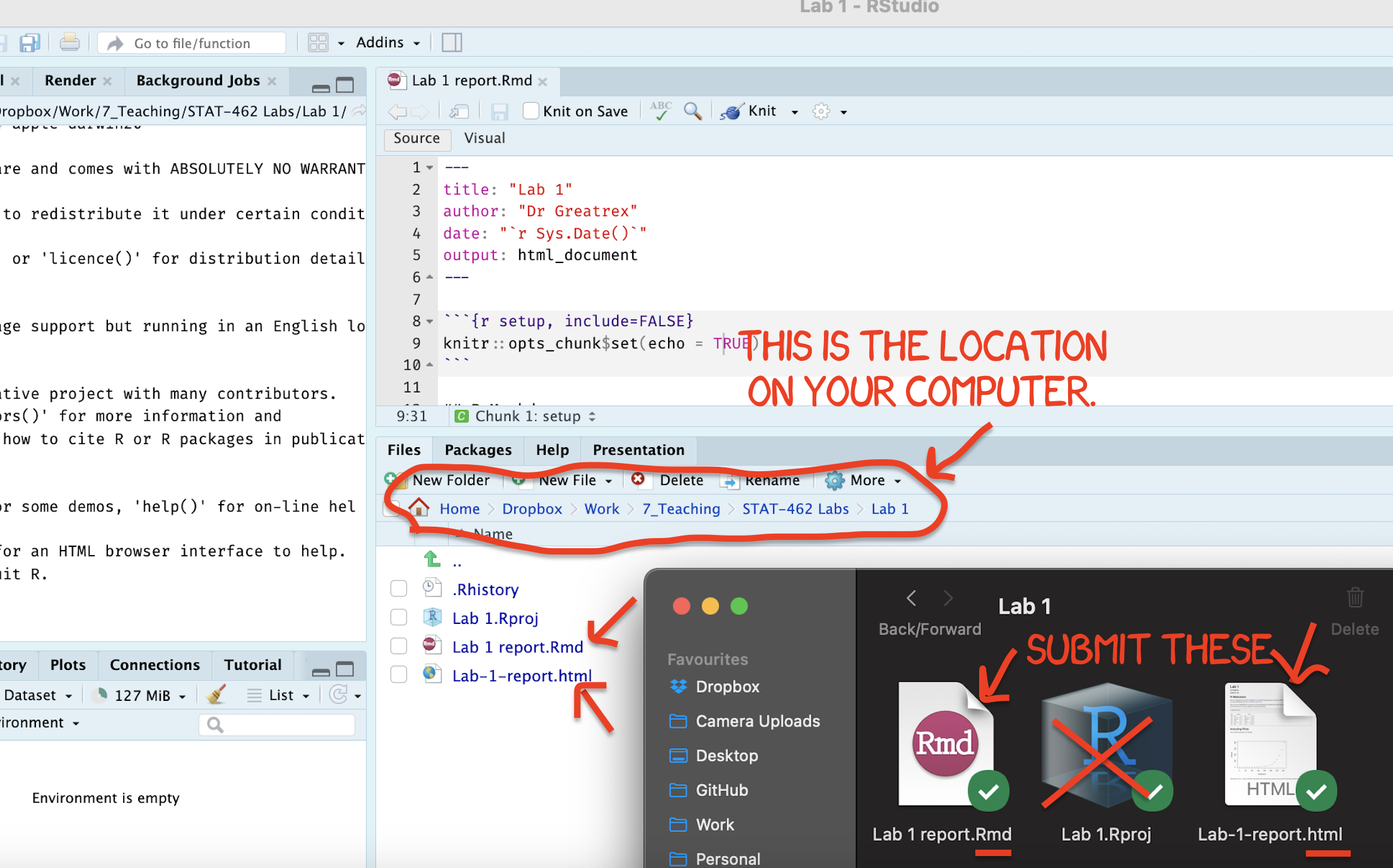 Find them in your STAT462 folder on your computer