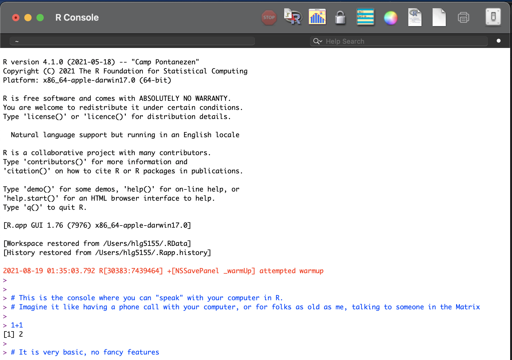 *The basic R console. You write in blue, the computer replies in black. The > means it is waiting for a command*