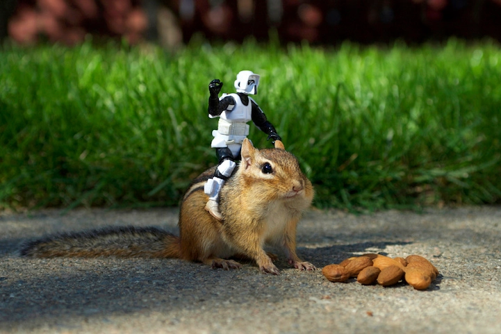 *Chipmunks are cool, image from: https://mymodernmet.com/chris-mcveigh-chipmunk-adventures*